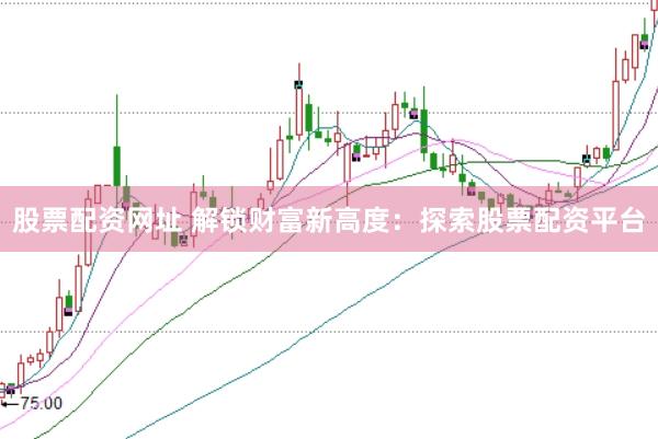 股票配资网址 解锁财富新高度：探索股票配资平台