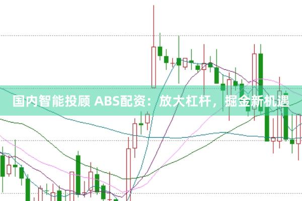 国内智能投顾 ABS配资：放大杠杆，掘金新机遇