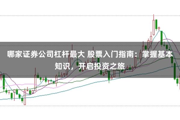 哪家证券公司杠杆最大 股票入门指南：掌握基本知识，开启投资之旅