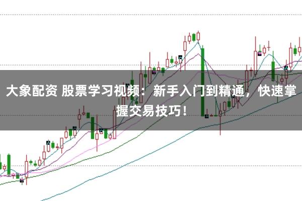 大象配资 股票学习视频:新手入门到精通,快速掌握交易技巧!